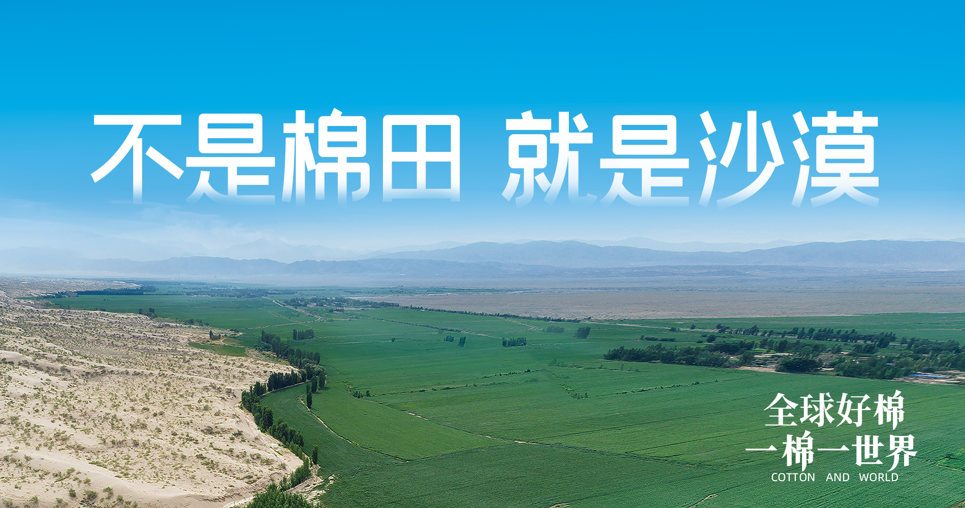 银河集团官网集团董事会多元化政策