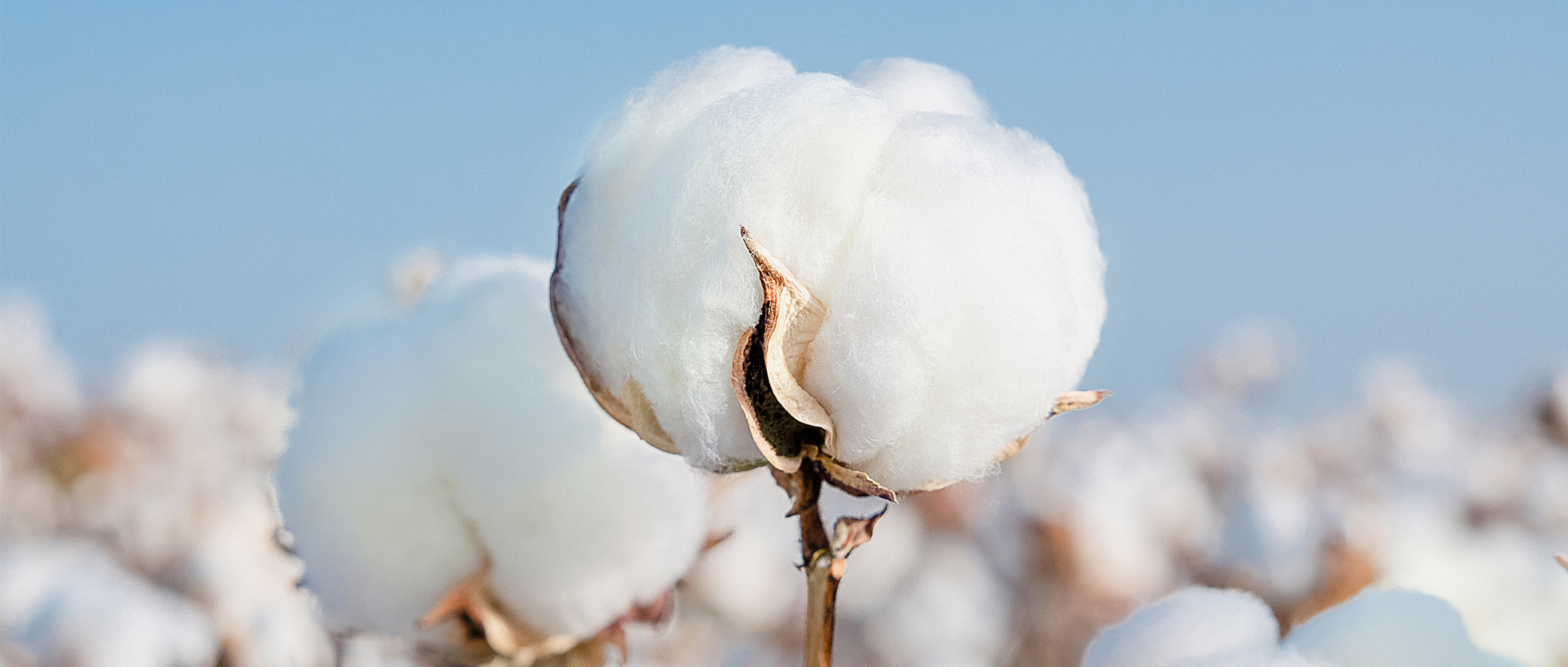 一图读懂银河集团官网集团2024年度ESG报告